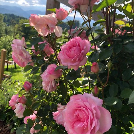 Apartma Rosa Spodnji Otok Esterno foto