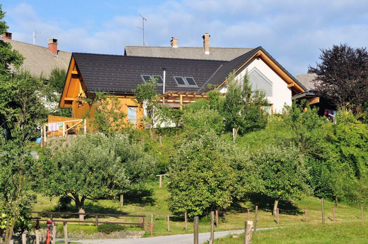 Apartma Rosa Spodnji Otok Esterno foto