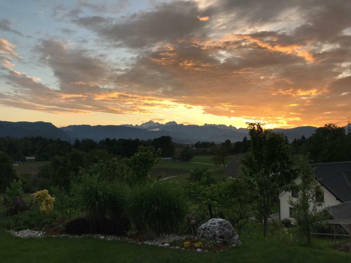Apartma Rosa Spodnji Otok Esterno foto